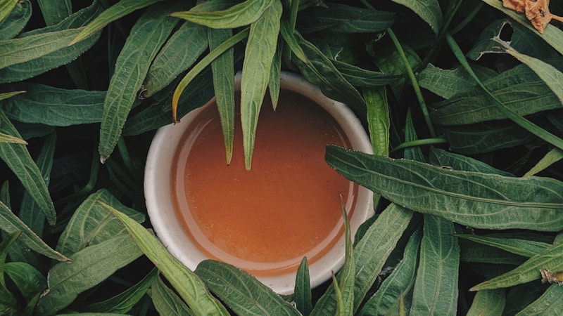 花粉症対策におすすめのハーブティーとは？やさしく続ける選び方と飲み方ガイド
