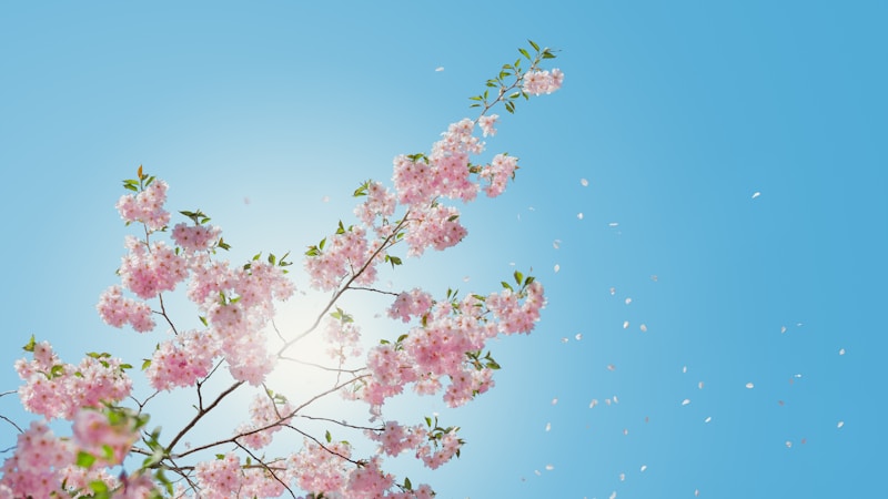 花粉症になる人とならない人の違いは?体質・生活習慣・環境からやさしく解説